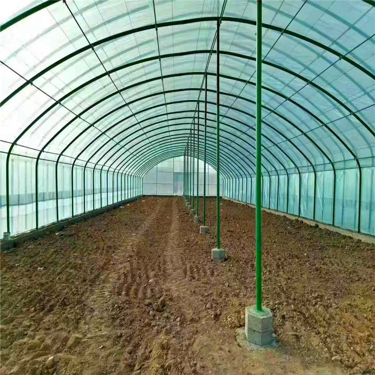 养殖大棚
